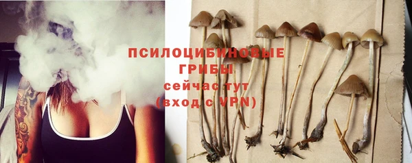 прущий лед Вязники
