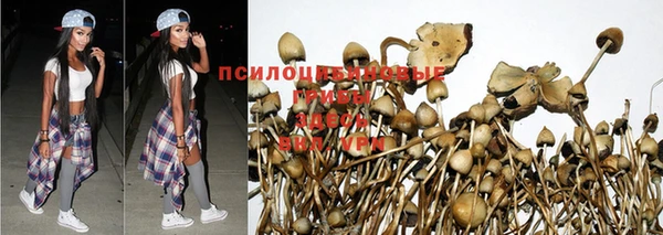 марихуана Вяземский