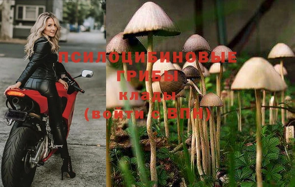 альфа пвп Вязьма